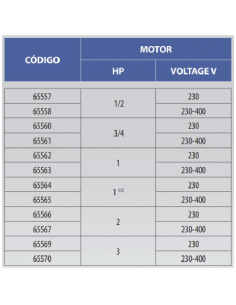 Pool pump VICTORIA PLUS 230 V 2