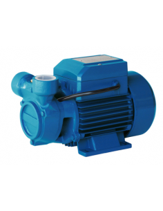 Electrobomba Horizontal Autoaspirante Cpa