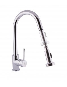 Grifo Monomando Para Fregadero Con Ducha Extraíble FORTUNA 2