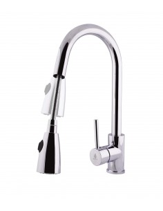 Grifo Monomando Para Fregadero Con Ducha Extraíble SELENE 2