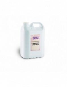 Essenza eucalipto per sauna 5 litri CTX