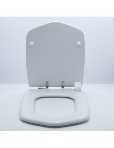 Toilet Seat ROCA AQUARIA ETOOS