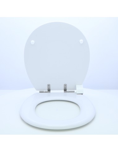 Toilet Seat ROCA VICTORIA ETOOS