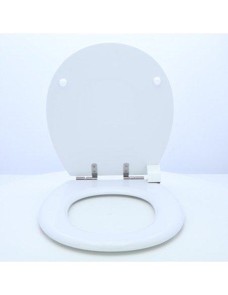 Toilet Seat ROCA VICTORIA ETOOS