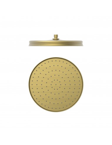 Rociador ducha anticalcárea CLASIC/RETRO TRES