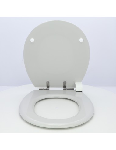 Toilet Seat ROCA VICTORIA ETOOS