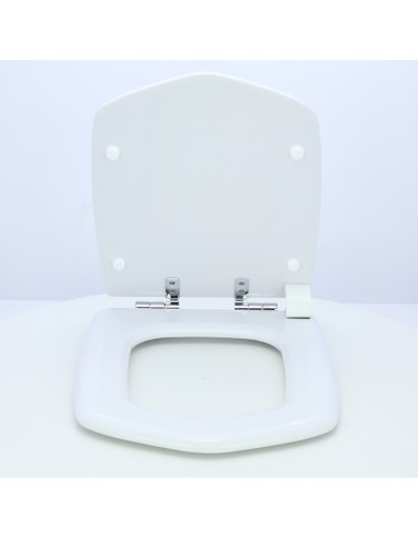 Sedile Copriwater Su Misura ROCA AQUARIA Chisura Morbida