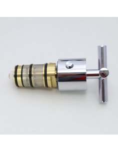 cartridge and knob for Thermostatic Faucet Referencia: 29916301 TRES