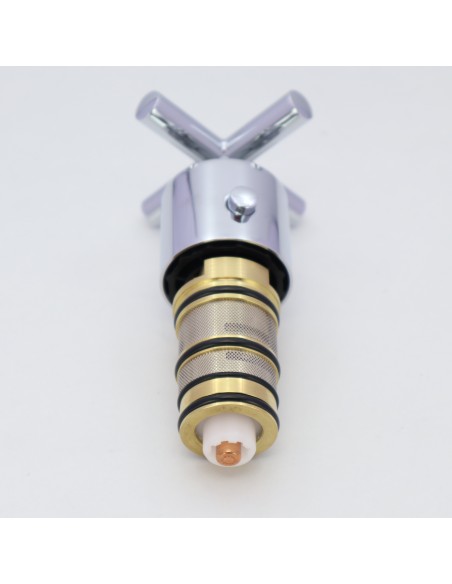 Cartouche et pommeau pour robinet thermostatique Ref: 29916301 TRES Cartouche et pommeau pour robinet thermostatique Ref: 29916301 TRES