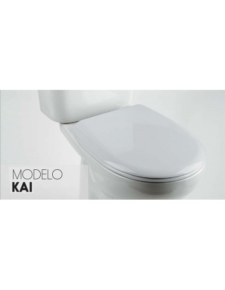 TAPA WC ROCA VICTORIA COMPATIBLE DUROPLAST-NYLON