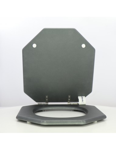 Toilet Seat VILLEROY BOCH OPERA ETOOS