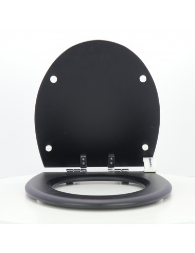 JACOB DELAFON PRESQUILE Soft Close Toilet Seat ETOOS