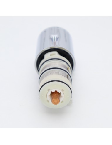 Cartouche et pommeau pour robinet thermostatique Ref: 29919503 TRES