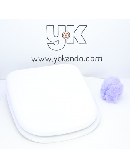 ROCA FRONTALIS Soft Close Toilet Seat ETOOS