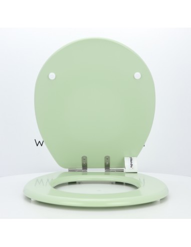 Tapa WC ROCA LUCERNA Fabricada A Medida VERDE SAUCE