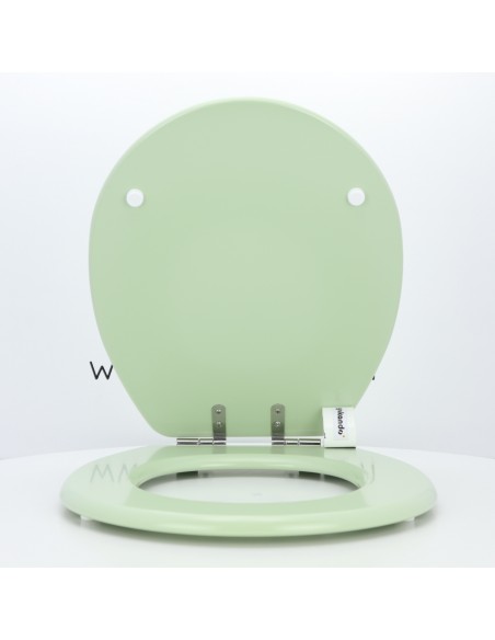 Tapa WC ROCA LUCERNA Fabricada A Medida VERDE SAUCE Tapa WC ROCA LUCERNA Fabricada A Medida VERDE SAUCE