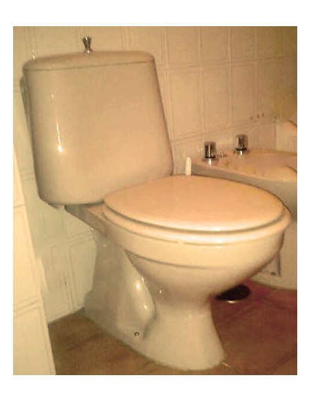 Abattant WC JACOB DELAFON APOLO ETOOS