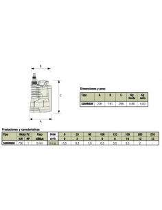 ELECTROBOMBA SUMERGIBLE PARA ACHIQUE SUMMUM 2
