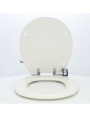 ROCA VICTORIA Soft Close Toilet Seat ETOOS
