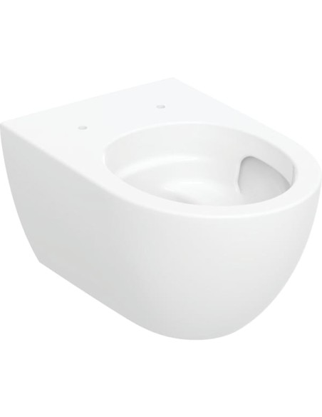 TAPA WC Geberit Acanto Original TAPA WC Geberit Acanto Original