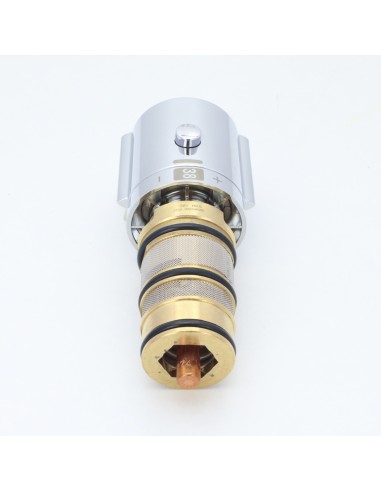 Cartouche et pommeau pour robinet thermostatique Ref.: 918116110 TRES