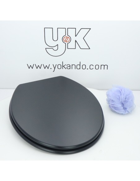 Toilet Seat SFA-SANITRIT SANICOMPACT C43