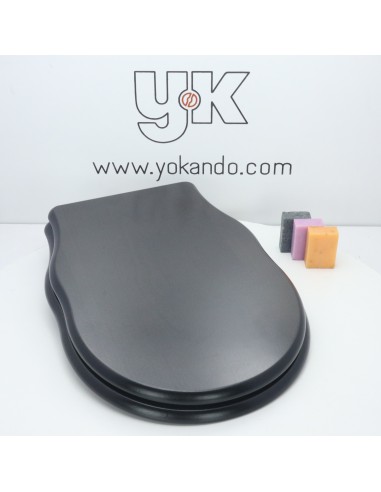 Abattant WC ALTHEA ROYAL avec Frein De Chute ETOOS