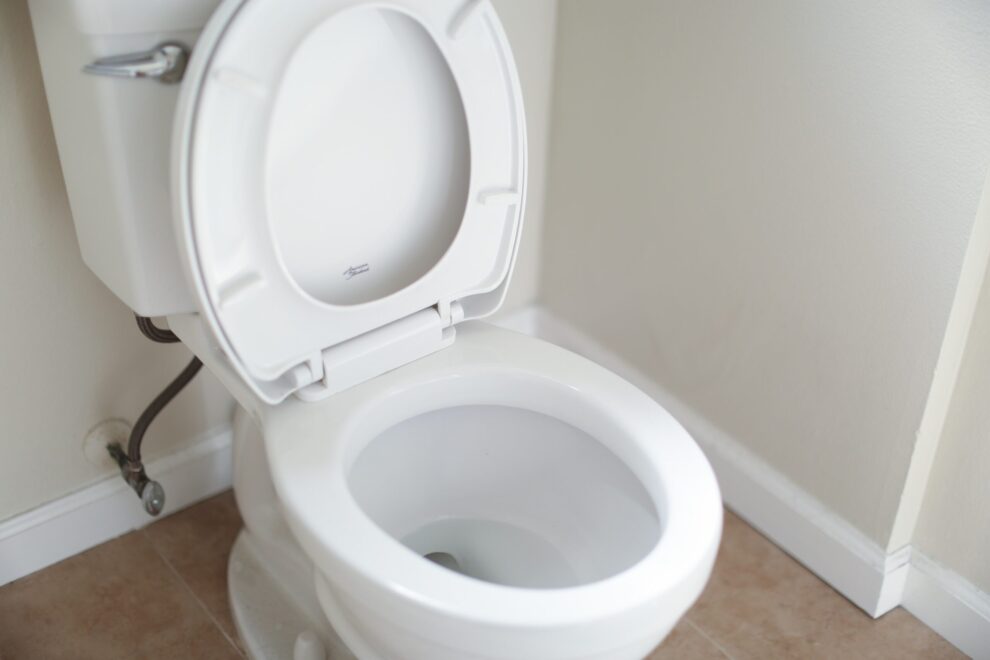 Guide to choose a toilet cover that facilitates the cleaning of the bathroom