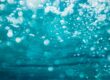Differences between a manual and electric pool vacuum cleaner