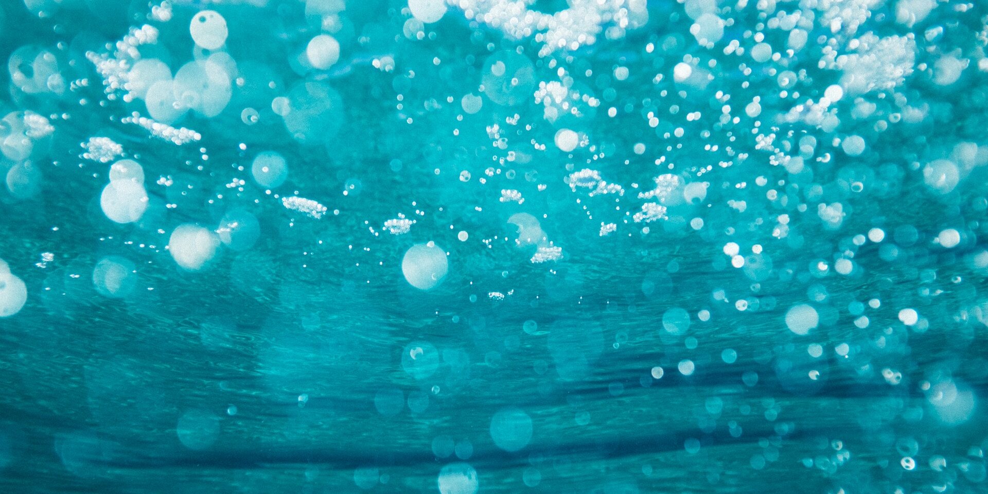 Differences between a manual and electric pool vacuum cleaner Differences between a manual and electric pool vacuum cleaner