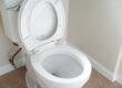 Conoce las diferencias entre asiento y tapa de inodoro