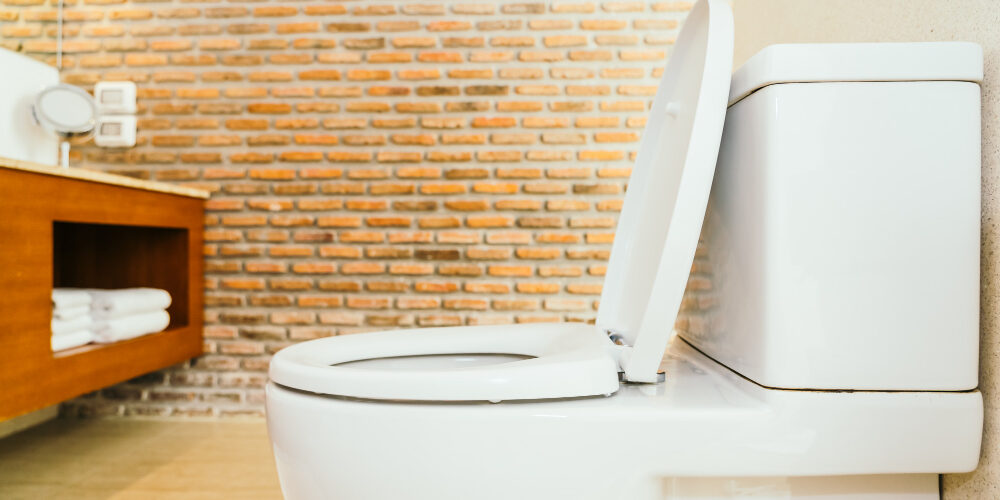 Avantages des toilettes japonaises pour les personnes handicapées Avantages des toilettes japonaises pour les personnes handicapées