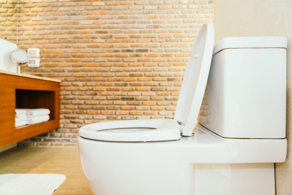 Avantages des toilettes japonaises pour les personnes handicapées