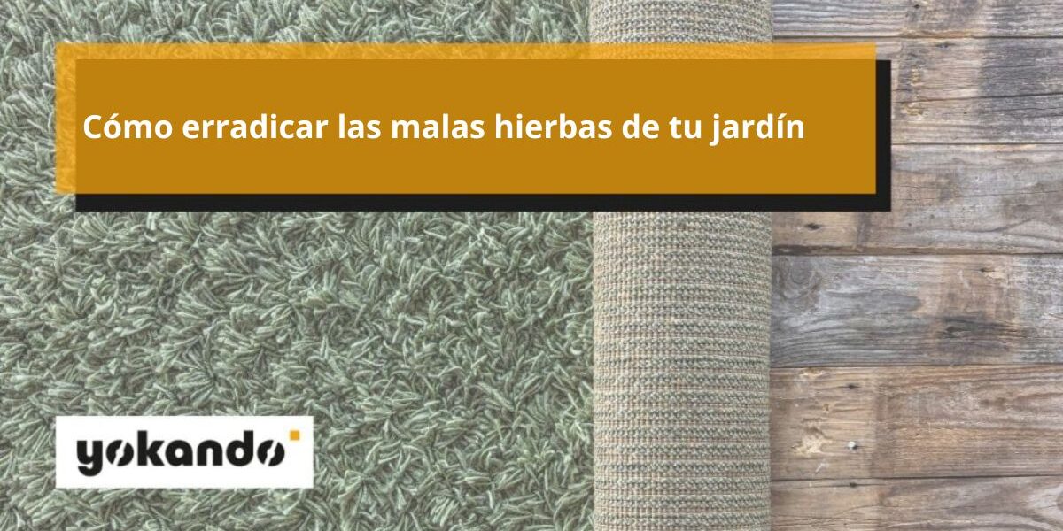 Cómo erradicar las malas hierbas de tu jardín Cómo erradicar las malas hierbas de tu jardín