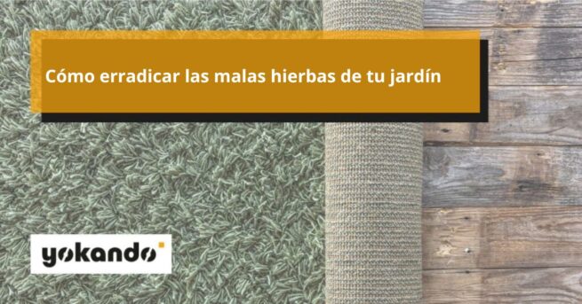 Cómo erradicar las malas hierbas de tu jardín