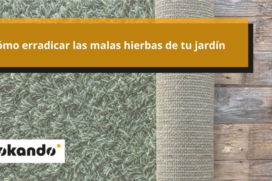 Cómo erradicar las malas hierbas de tu jardín Cómo erradicar las malas hierbas de tu jardín