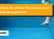 Beneficios de utilizar floculante en tu piscina.png