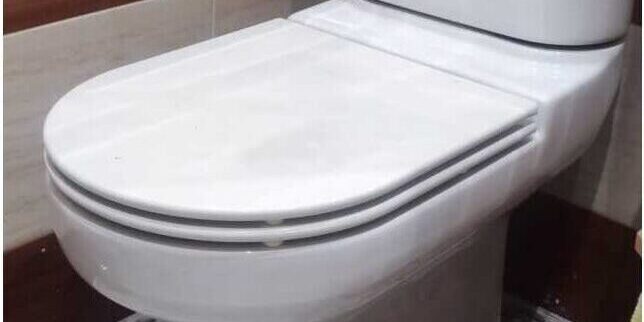 tapa-wc-marina-h-de-gala-original